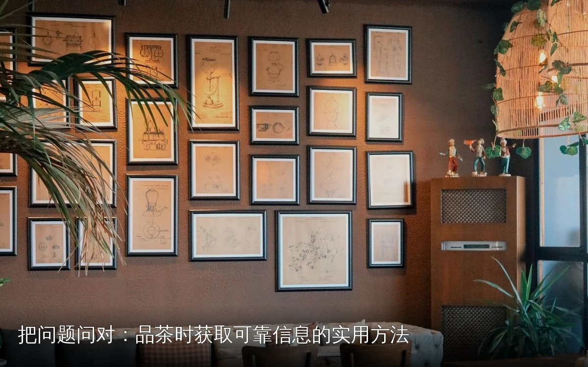 把问题问对：品茶时获取可靠信息的实用方法
